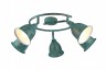Светильник потолочный Arte lamp CAMPANA A9557PL-5BG