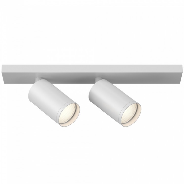 Потолочный светильник Maytoni C051CL-U-2W FOCUS