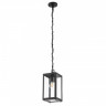 Подвесной уличный светильник ARTE Lamp A4569SO-1BK BELFAST