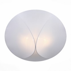 Светильник потолочный ST-Luce SL360.552.04