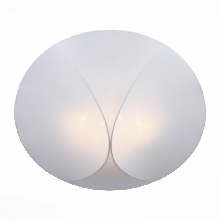 Светильник потолочный ST-Luce SL360.552.04