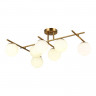 Светильник потолочный EVOLUCE Латунь/Белый E14 7*40W           SLE1195-302-07