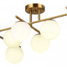 Светильник потолочный EVOLUCE Латунь/Белый E14 7*40W           SLE1195-302-07