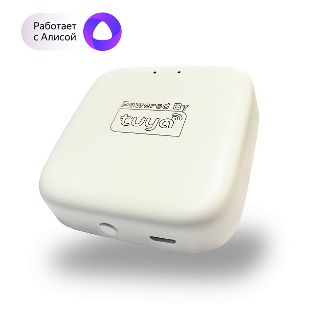 WI-FI конвертер Denkirs DK7400-WF Smart