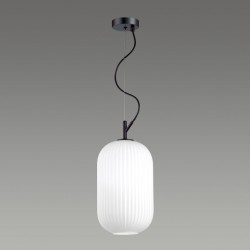 Подвес Odeon Light ROOFI 4751/1