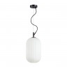 Подвес Odeon Light ROOFI 4751/1