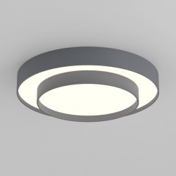 Умный потолочный светильник Eurosvet 90279/2 серый Smart Force