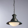 Светильник подвесной Arte lamp FERRICO A9256SP-1BG