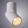 Светильник потолочный Arte lamp ORIONE A7717PL-1WH