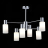 Люстра на штанге Evoluce SLE1139-102-06 GESSI