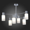 Люстра на штанге Evoluce SLE1139-102-06 GESSI