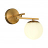 Светильник настенный EVOLUCE Латунь/Белый E14 1*40W           SLE1195-301-01