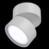 Потолочный светильник Maytoni Onda C024CL-L12W4K