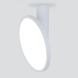 Накладной светильник Elektrostandard DLS029 12W 4200K белый матовый DLS029