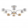 Светильник потолочный LUMION 8231/6C COMFI