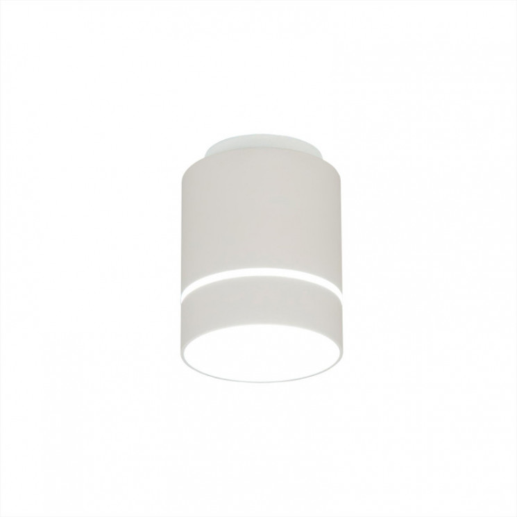 Накладной светильник Citilux CL745010N Борн