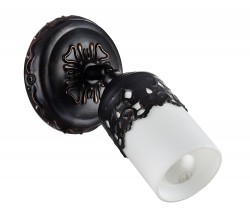 Спот Maytoni SP562-CW-01-R Renda