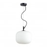 Подвес Odeon Light ROOFI 4753/1