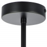Люстра на штанге Lightstar 720087 SIENA