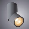 Светильник потолочный Arte lamp ORIONE A7717PL-1GY