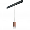Комплект со светильником Rullo для трека PRO Rullo Lightstar PRORP43031