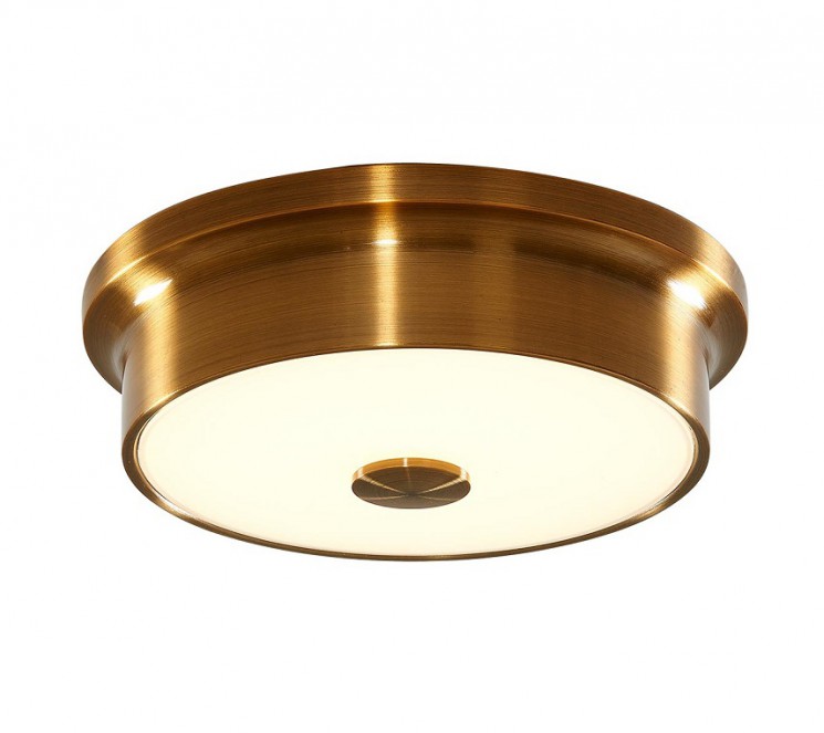 Светильник настенно-потолочный Citilux CL706212 Фостер-2