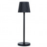 Уличный настольный светильник Arte Lamp A1616LT-1BK FUYUE 3W USB
