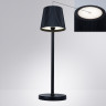 Уличный настольный светильник Arte Lamp A1616LT-1BK FUYUE 3W USB