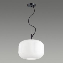 Подвес Odeon Light ROOFI 4754/1