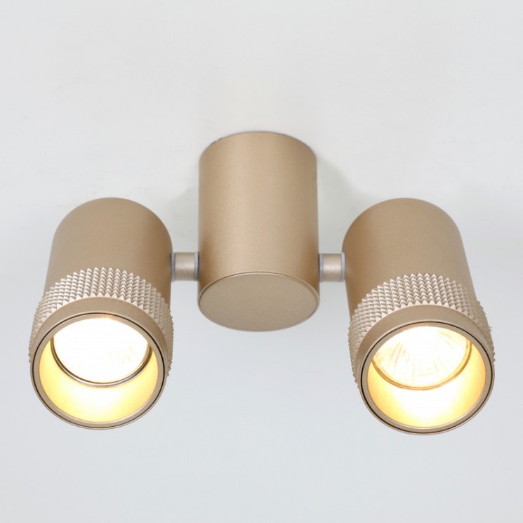 Потолочный светильник Favourite 2455-2U Kinescope