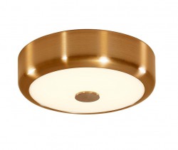 Светильник настенно-потолочный Citilux CL706112 Фостер-1
