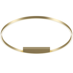 Потолочный светильник Maytoni MOD058CL-L65BS3K Rim