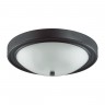 Настенно-потолочный светильник Lumion NINA 5260/3C