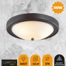 Настенно-потолочный светильник Lumion NINA 5260/3C