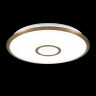 Накладной светильник Citilux CL703A63G Старлайт Смарт