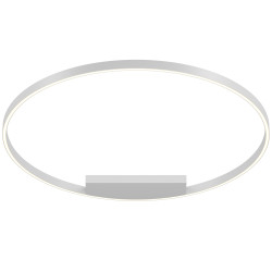 Потолочный светильник Maytoni MOD058CL-L65W3K Rim