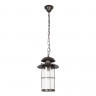 Уличный подвесной светильник LOFT IT Palermo 100015P
