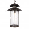 Уличный подвесной светильник LOFT IT Palermo 100015P
