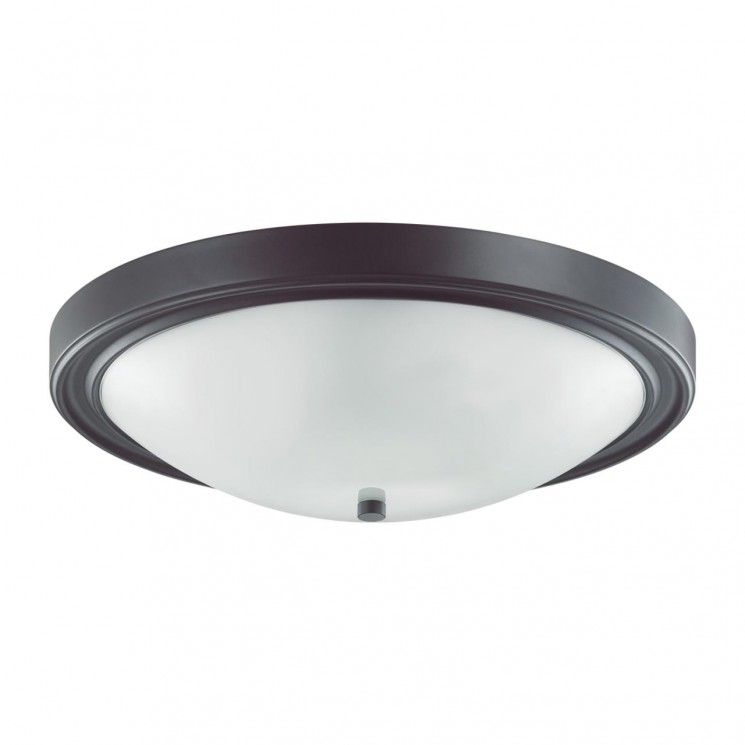 Настенно-потолочный светильник Lumion NINA 5260/4C