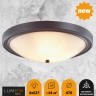 Настенно-потолочный светильник Lumion NINA 5260/4C