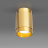 Накладной светильник Elektrostandard DLN109 GU10 золото Tony