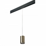 Комплект со светильником Rullo для трека PRO Rullo Lightstar PRORP431