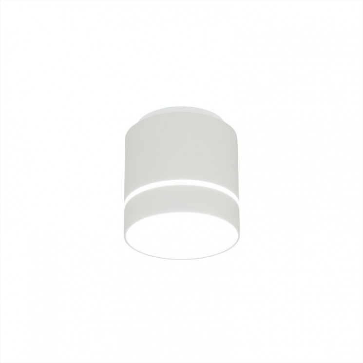 Накладной светильник Citilux CL745020N Борн