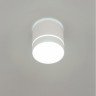 Накладной светильник Citilux CL745020N Борн