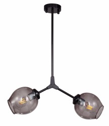 Люстра Favourite 1742-2P