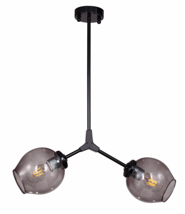 Люстра Favourite 1742-2P