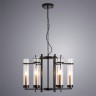 Подвесная люстра ARTE Lamp A1688LM-6BK Hugo