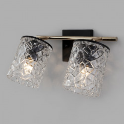 Спот Eurosvet 20095/2 черный/золото Jackice