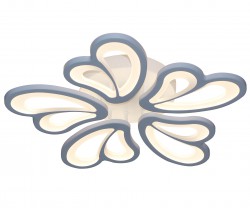 Потолочный светильник KINK Light Хойя 5833