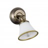 Светильник настенный Freya FR2272-WL-01-BS Jasinta
